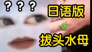 《 二 次 元 水 母 》