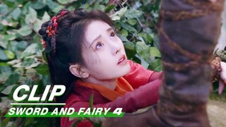 Yun Tianhe Meets a Woman | Sword and Fairy 4 EP1 | 仙剑四 | iQIYI