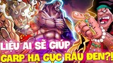 NHỮNG AI CÓ THỂ GIÚP GARP CHỐNG LẠI RÂU ĐEN?!