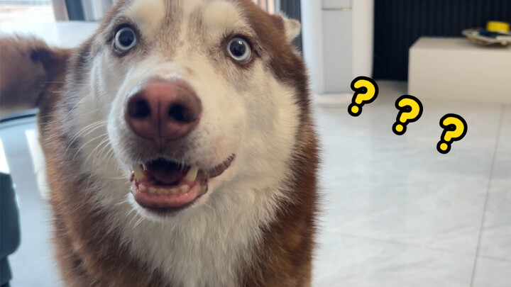 Sebelas: Kenapa nggak boleh sentuh aku?