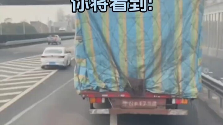 Kapten Gu dengan gaya mengemudi ofensif!