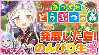 【あつまれどうぶつの森】進化しすぎた島！！たくさんお金ほしい！！【ホロライブ/紫咲シオン】