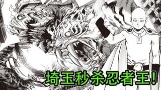 埼玉秒杀忍者王！波奇对轰空间兽！
