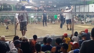 11/16/25 fantastic coliseum machine kelso 2nd fight