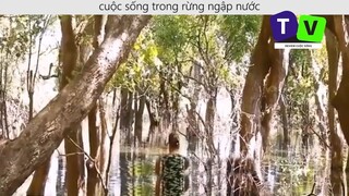 Sinh Tồn Trong Rừng Ngập Nước p9
