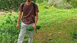 Ngibit Sa Asim