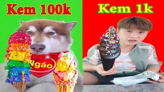 Thú Cưng TV | Ngáo Husky Troll Bố Dương KC #35 | chó thông minh vui nhộn | funny cute smart dog Pets