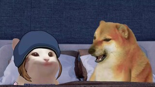 Chúng ta muốn bên nhau trọn đời
