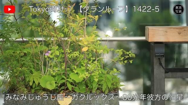 1422【グランルーフ】東京写真