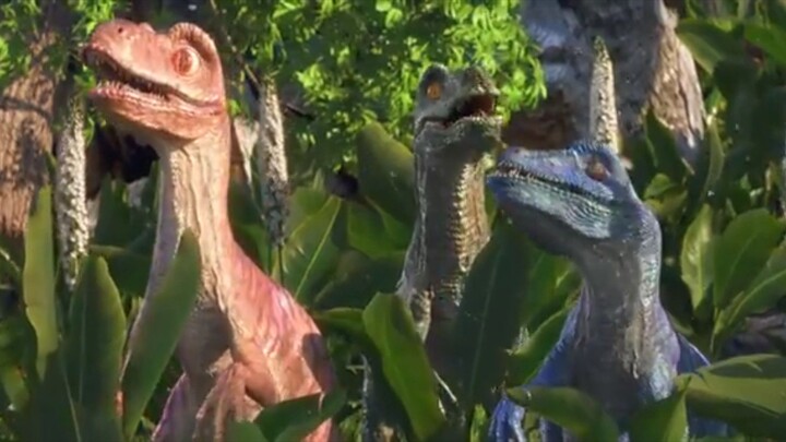 Roxy And The Volcano | Funny Dinosaurus  Carton 3D | "Roxy Si Imut" |
