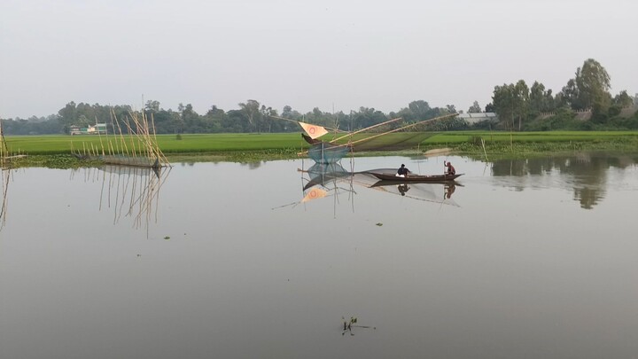Beautiful Creatures of Bangladesh