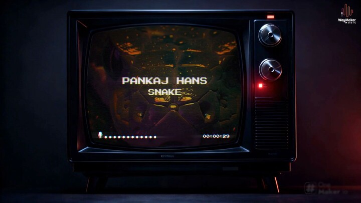 Snake (Visuals video) Pxnkaj Hans || New Punjabi Songs 2026