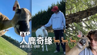 This older brother is raising a whole herd of deer!!! So adorable!