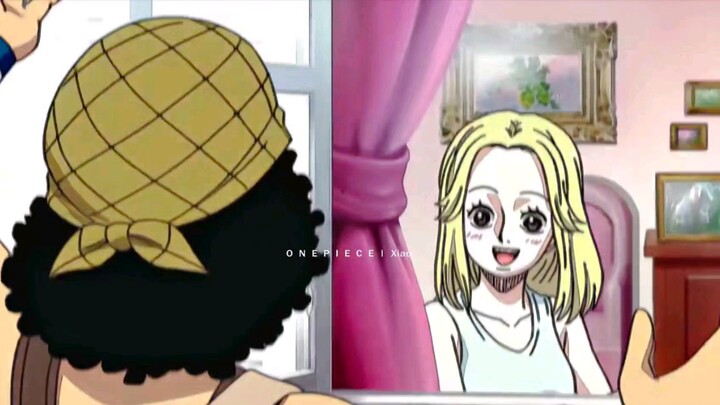 Luffy was so big, but she only saw Usopp in the corner.