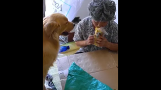 เป็นหมาที่น่ารักจริงๆ