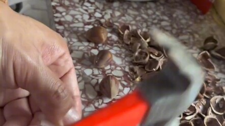 ปอกเปลือกถั่วอย่างรวดเร็วและง่ายดาย