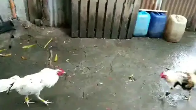 1st Time Si Binabae Dark Side L Bilibili