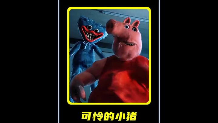 น่าสงสารมาก หมูน้อยเปปปาที่ถูกทอดทิ้ง