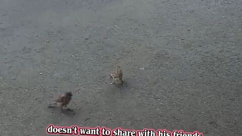 th