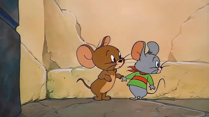 What kind of rat is this?