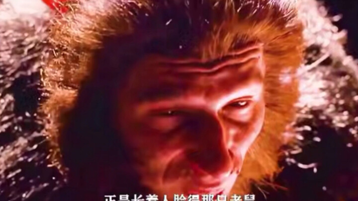人  脸  鼠  身