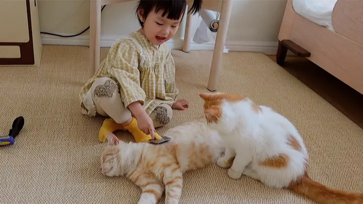 A little girl and her 7 pet cats