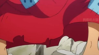 [Đọc nhanh Cướp biển số 167] Trí nhớ của dì đã được phục hồi! Luffy Ryu Sakura huấn luyện thành công