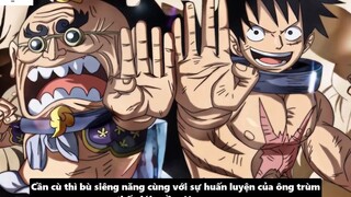 Trái Ác Quỷ và Haki Cái Nào Mạnh Hơn_ - Ưu Điểm & Nhược Điểm _ Phân Tích One Pie