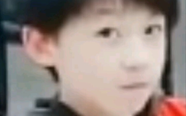 [杨博文]妈妈镜头下的可爱小羊