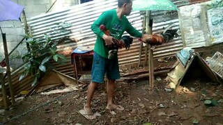 SWEATER BULIK OVER TORNADO HATCH