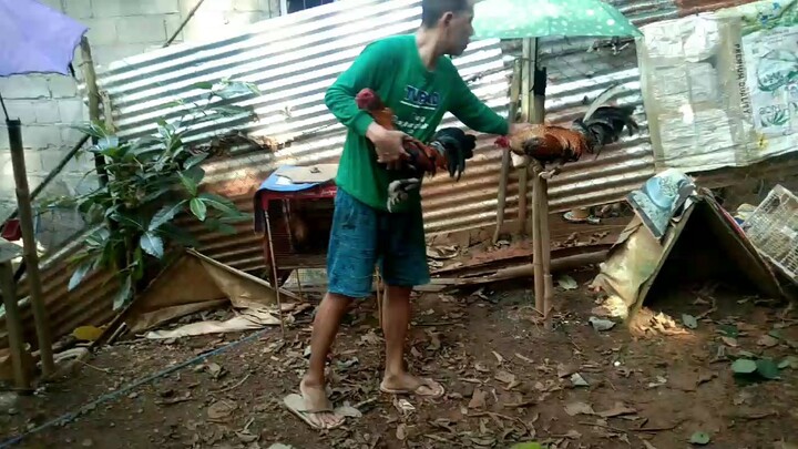 SWEATER BULIK OVER TORNADO HATCH