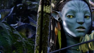 I spent 100 days to catch the heat [360-degree 3D restoration of Pandora in "Avatar"]