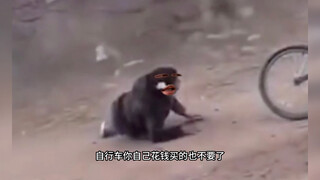 เซิร์ฟเวอร์แห่งชาติซันเซ