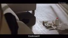 cockroach