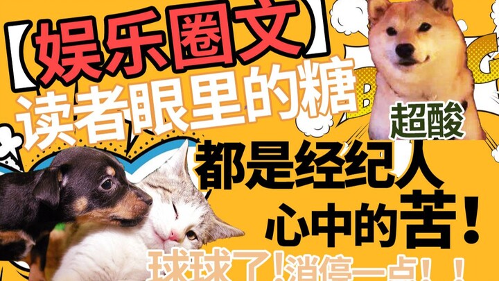 【Bán Bát】Nghe nói mỗi khi có một bài viết về giới giải trí ra đời, ít nhất hai quản lý nghệ sĩ sẽ “c