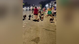 Nay Trọng Đã đến An Giang Thăm các em nè trọng_cà_mau Hello2022 LearnOnTikTok chó_cưng