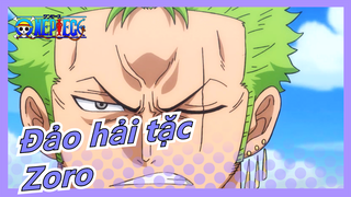 [Đảo hải tặc] Zoro: Ta sẽ trở thành kiếm sỹ mạnh nhất thế giới