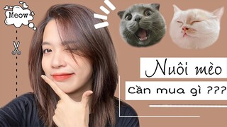 BẮT ĐẦU NUÔI MÈO CẦN CHUẨN BỊ GÌ ??? | HWAJANG