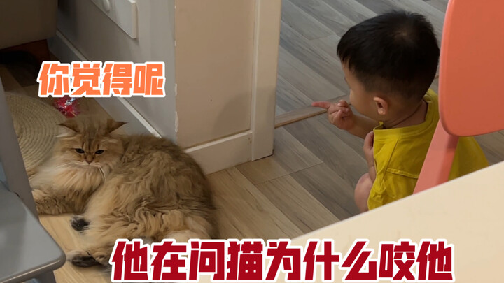 My 3-year-old son is all fired up, accusing our 4-year-old cat: “Look at my hand!”