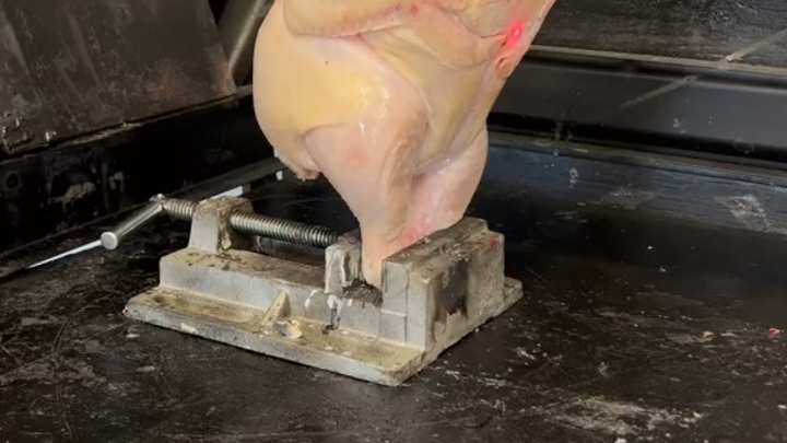 Laser penetrates chicken. I understand why you can't touch lasers in movies.