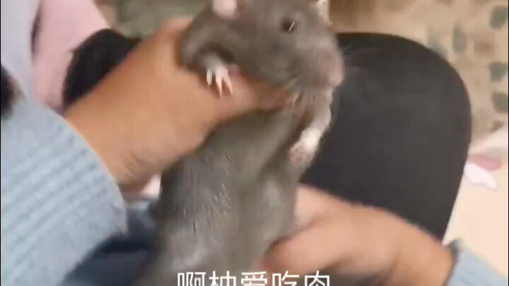 เต้นดีกว่าฉันอีก@ชุนหลิ่ว ไปบ้านนายเลย