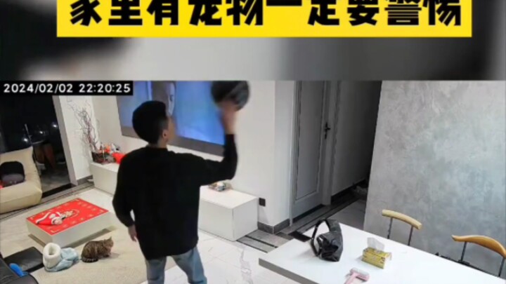 Calon pemain basket hancurkan ponsel lalu menuduh kucing! Tak perlu banyak bicara, simak VCR-nya!