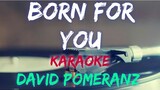 BORN FOR YOU - DAVID POMERANZ (KARAOKE VERSION)