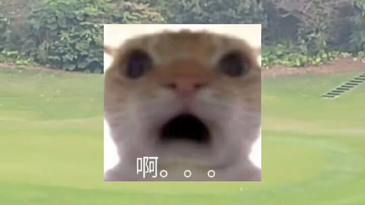 Why Golf Is Called the Rich Man’s Game