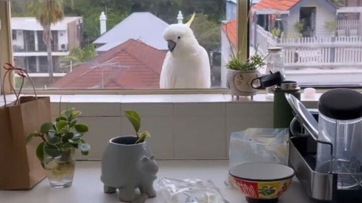 Do you know how long I’ve been waiting for this bag of cashews?