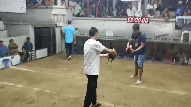 RVGF GREY 2ND WIN @ SAN ROQUE COCKPIT ARENA IN MARIKINA