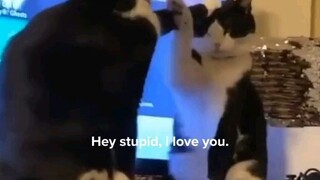 stupid😏