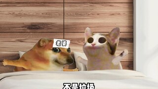 猜对了奖励100