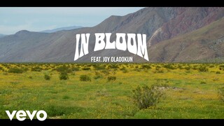 Jon Foreman - In Bloom (feat. Joy Oladokun) (Official Lyric Video)