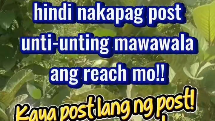 https://www.facebook.com/share/1EXzmFcmcC/